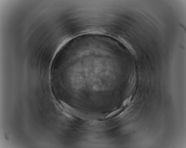 X0000091641240200709131425