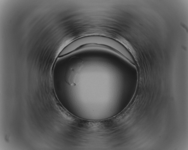 X0000091641242200709131425