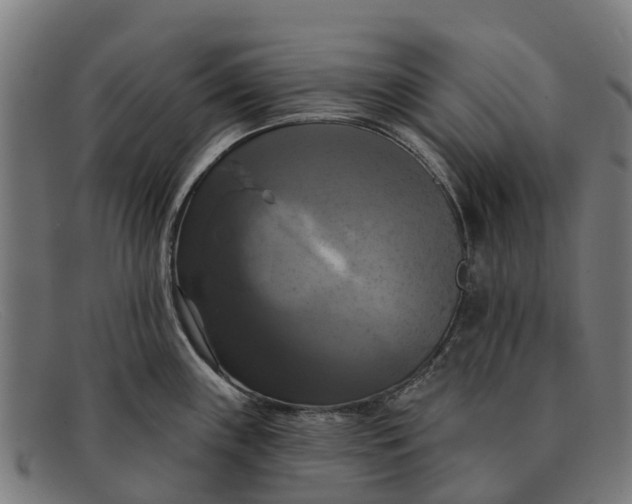 X0000091641243200709131425