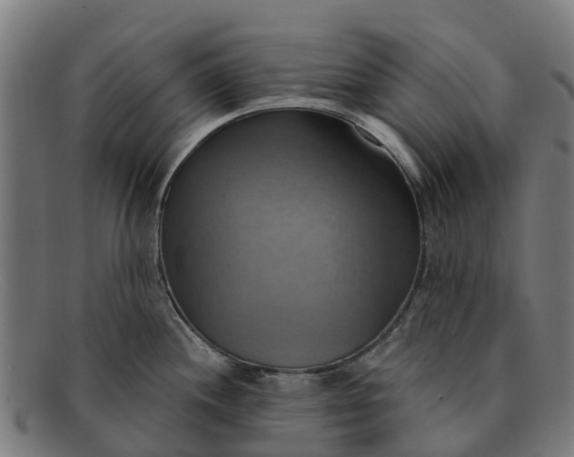 X0000091641244200709131425