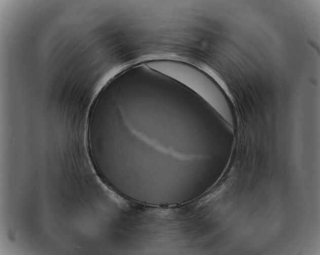 X0000091641245200709131425