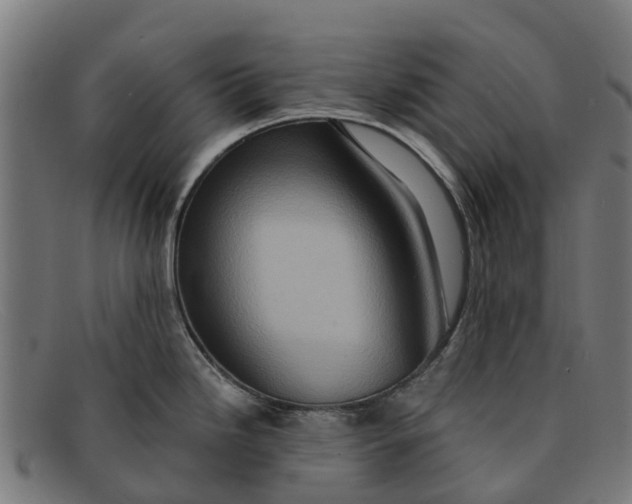 X0000091641246200709131425