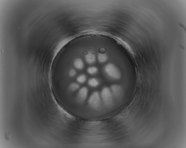 X0000091641247200709131425