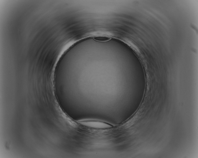 X0000091641248200709131425