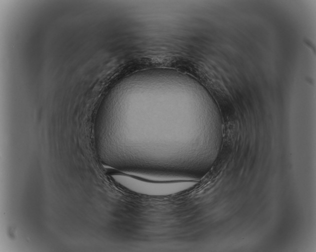 X0000091641249200709131425