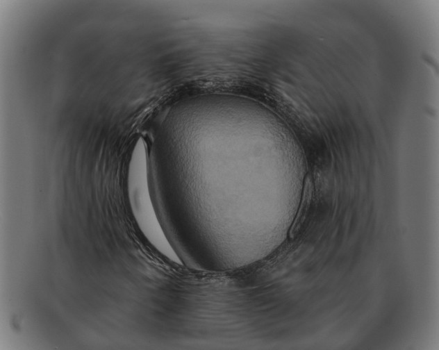 X0000091641250200709131424