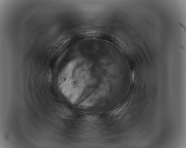 X0000091641251200709131424