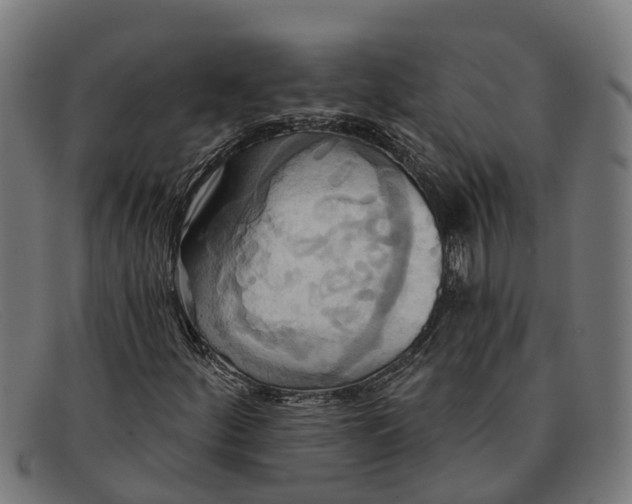 X0000091641252200709131424
