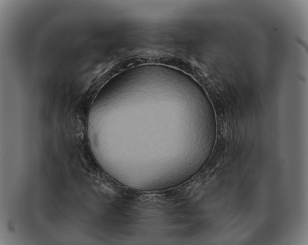 X0000091641253200709131424