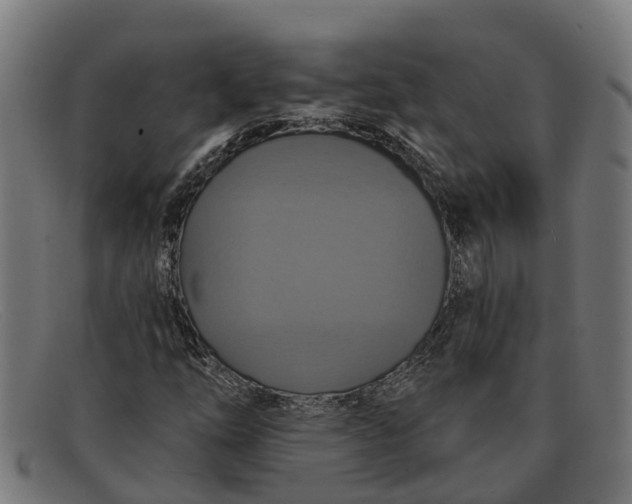 X0000091641254200709131424