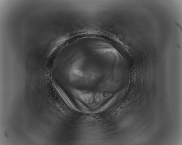 X0000091641255200709131424
