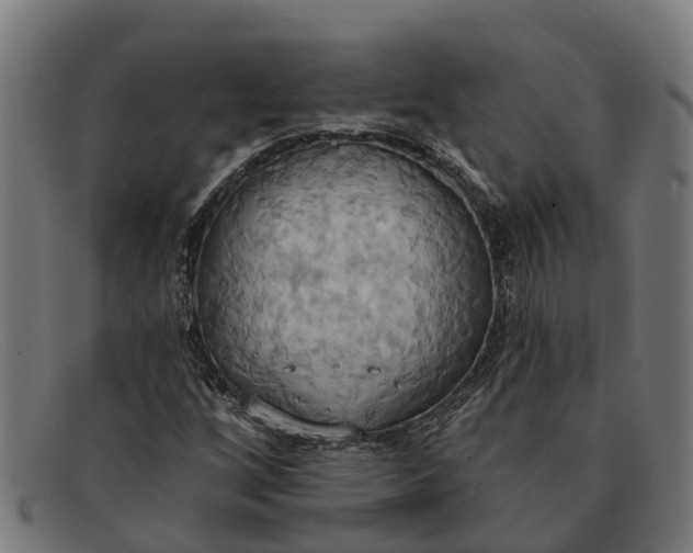 X0000091641256200709131424