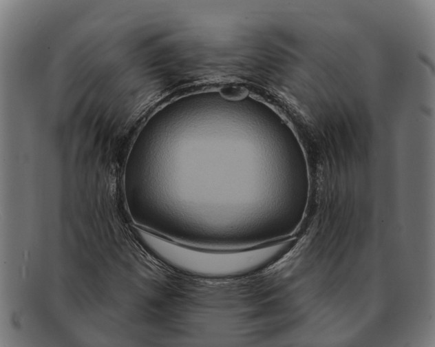 X0000091641257200709131424