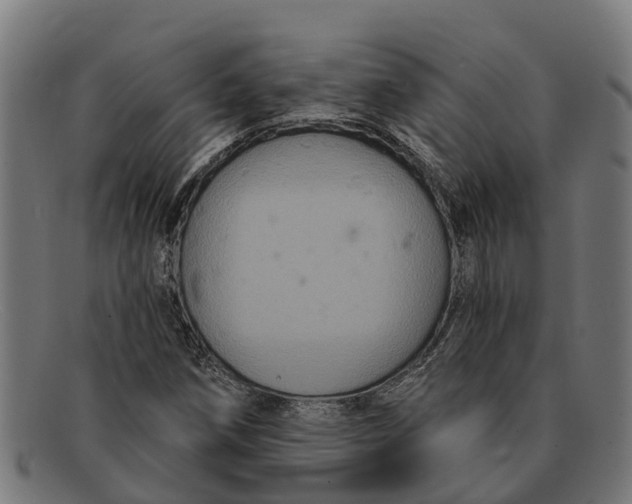 X0000091641258200709131424