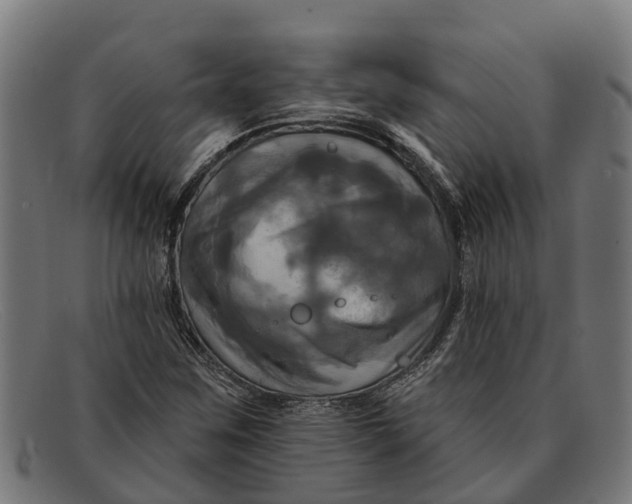 X0000091641259200709131424