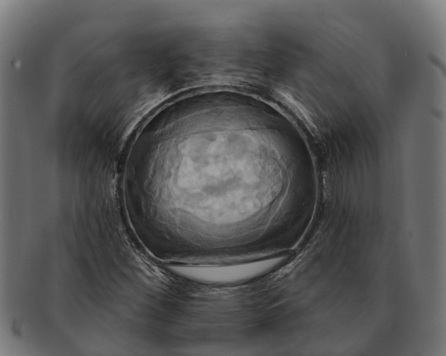 X0000091641260200709131424