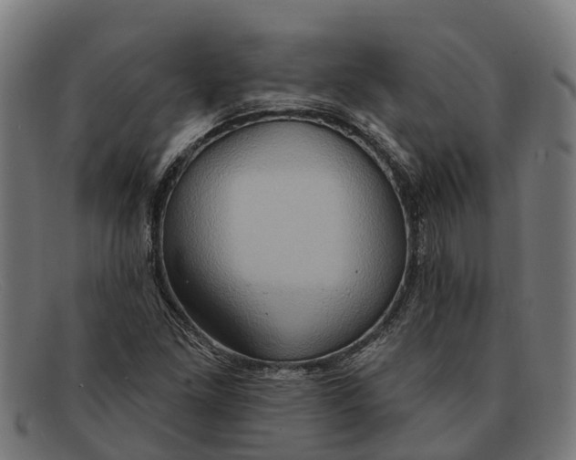 X0000091641261200709131424