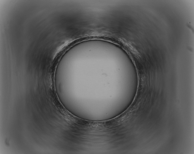 X0000091641262200709131424