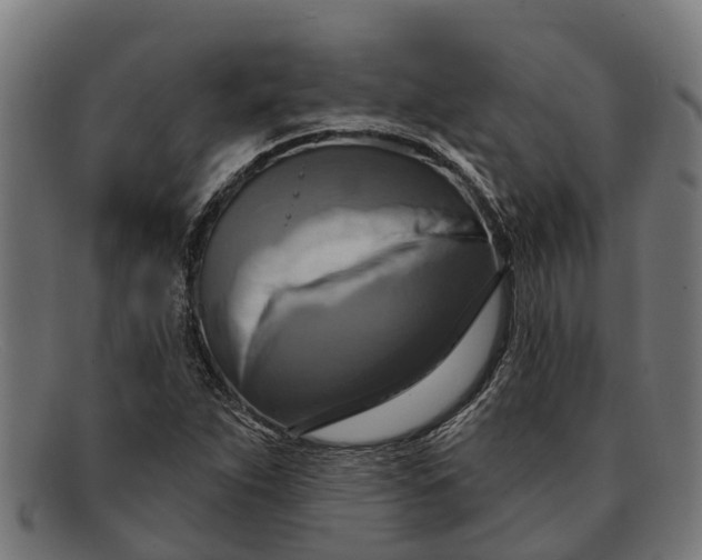 X0000091641263200709131424