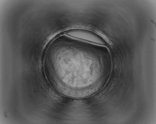 X0000091641264200709131424