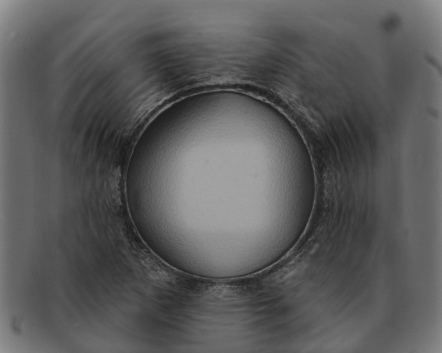 X0000091641265200709131424