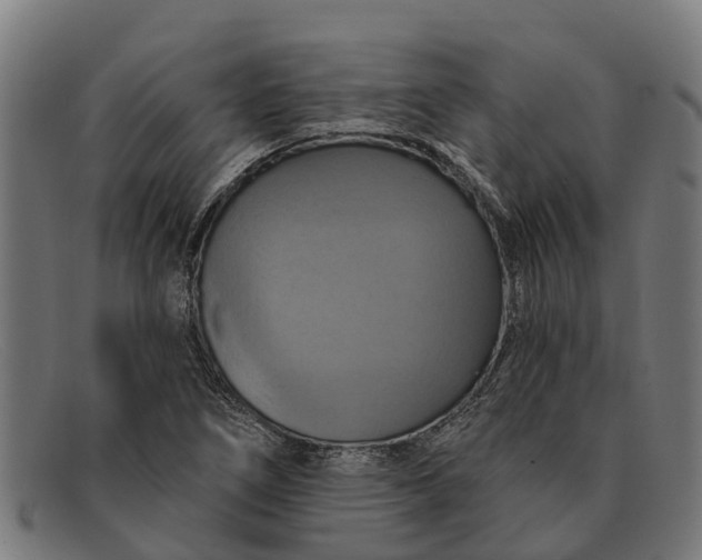 X0000091641266200709131424
