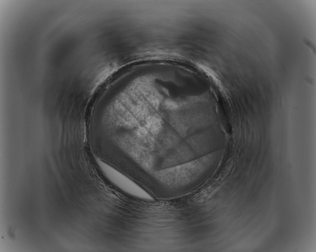 X0000091641267200709131424