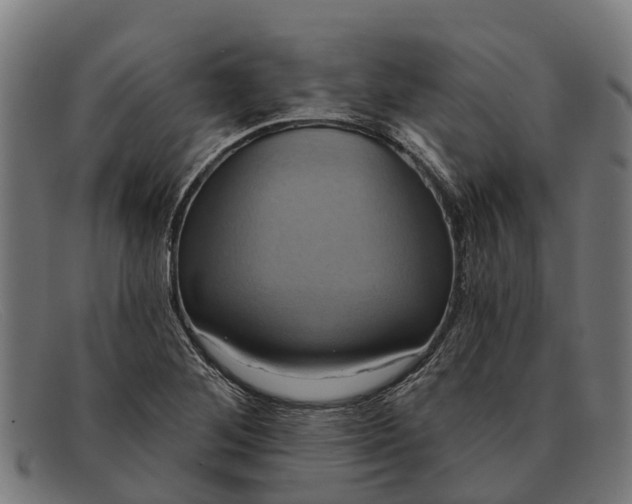 X0000091641268200709131424