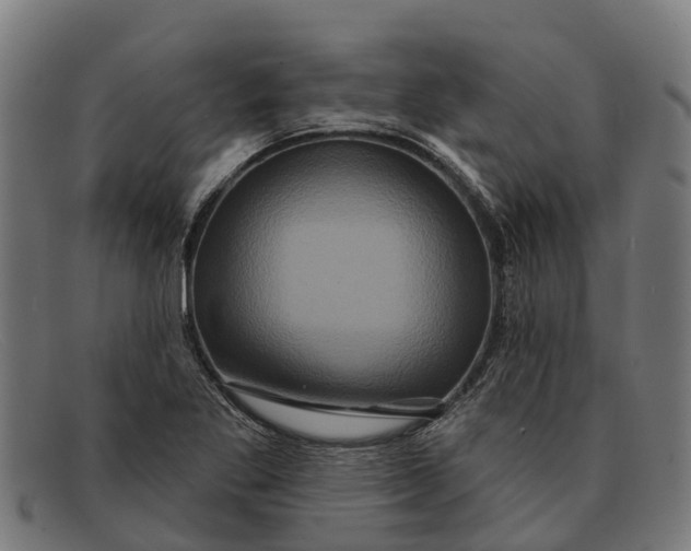 X0000091641269200709131424
