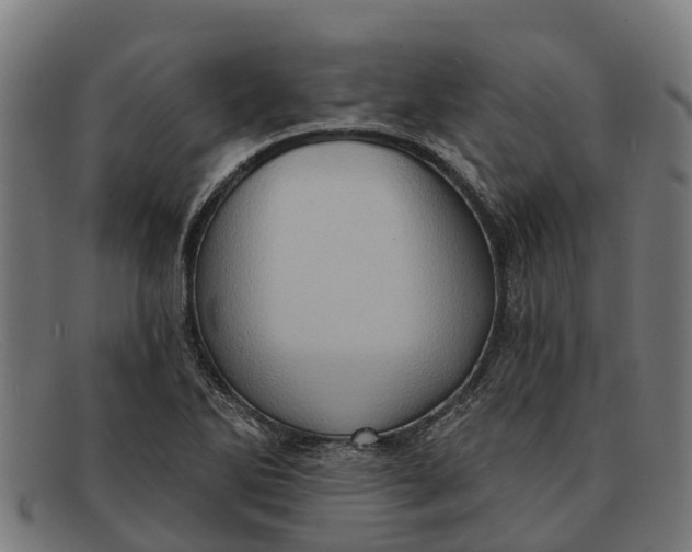 X0000091641270200709131424