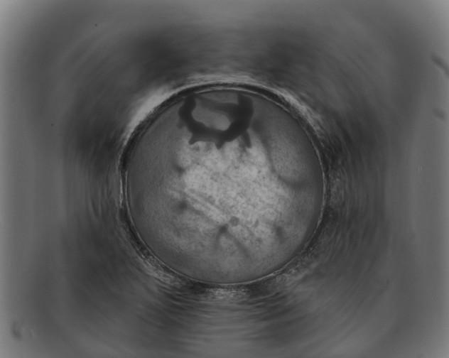 X0000091641271200709131424