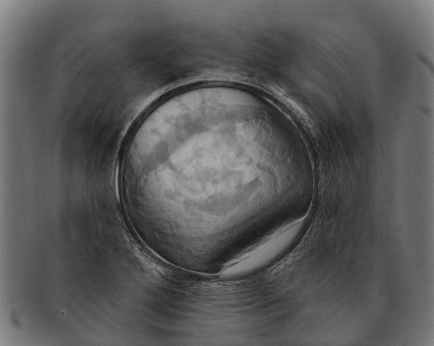 X0000091641272200709131424