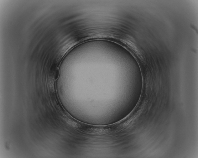 X0000091641273200709131424