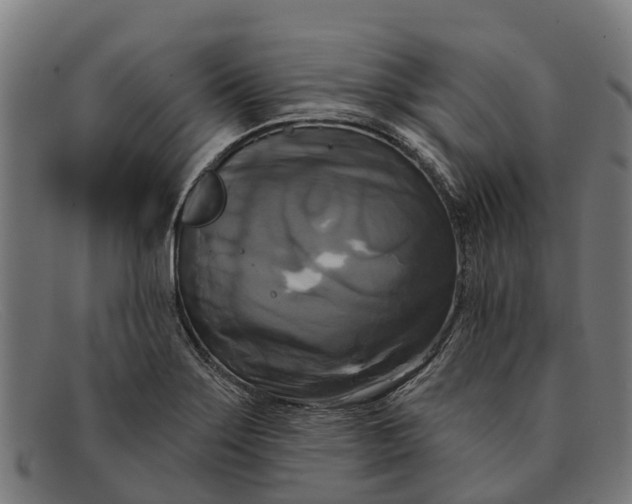 X0000091641275200709131424