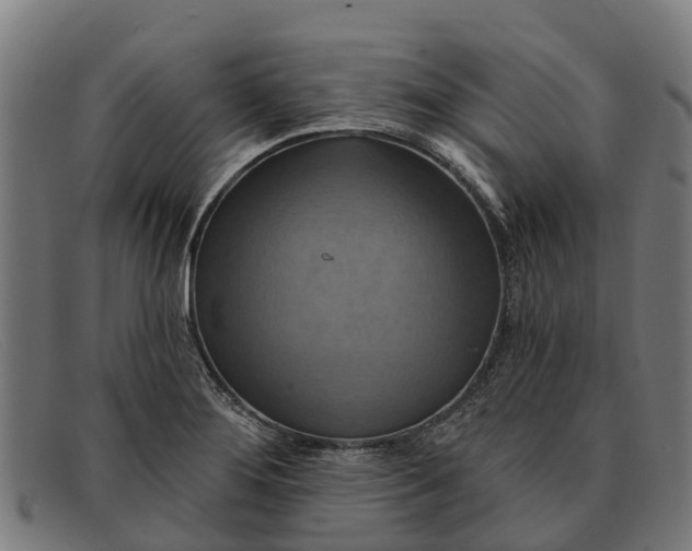 X0000091641276200709131424