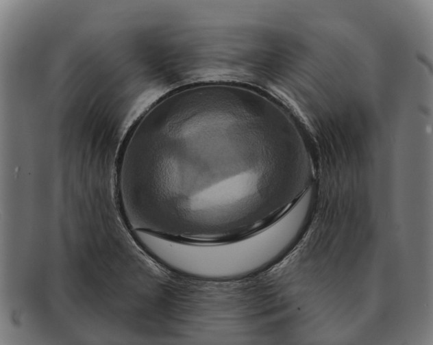 X0000091641277200709131424