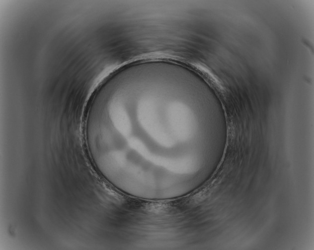 X0000091641278200709131424