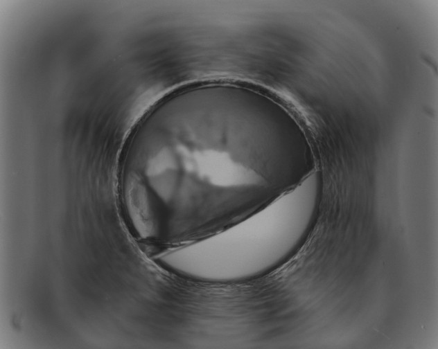 X0000091641279200709131424