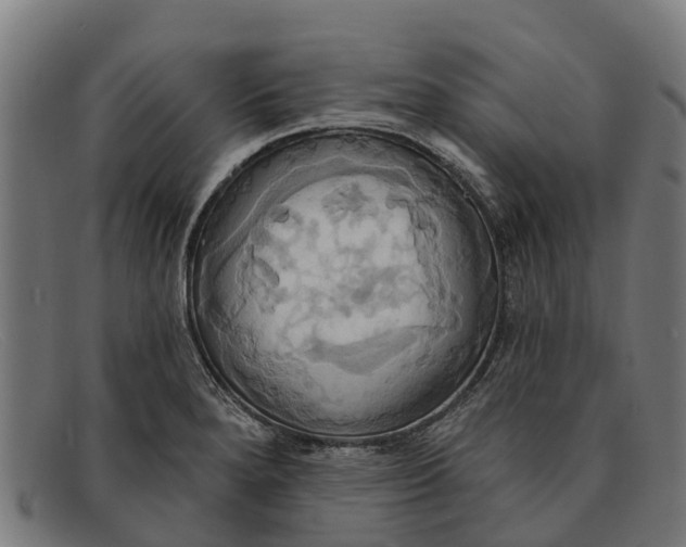 X0000091641280200709131424
