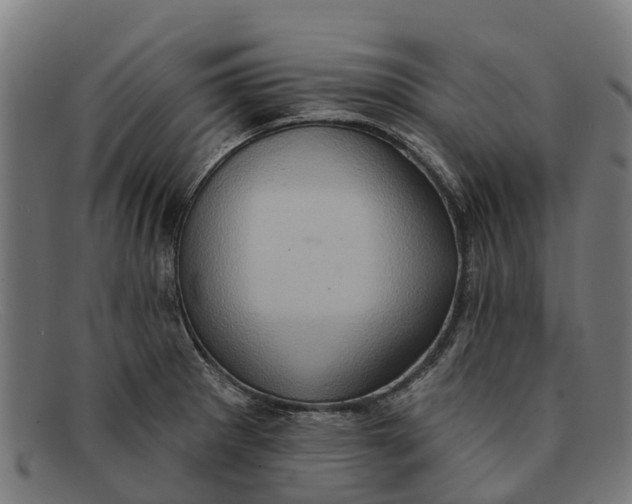 X0000091641281200709131424