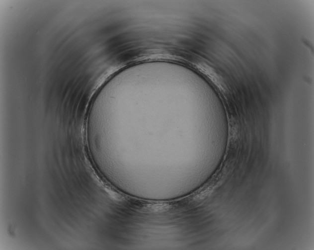 X0000091641282200709131424