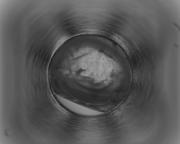 X0000091641283200709131424