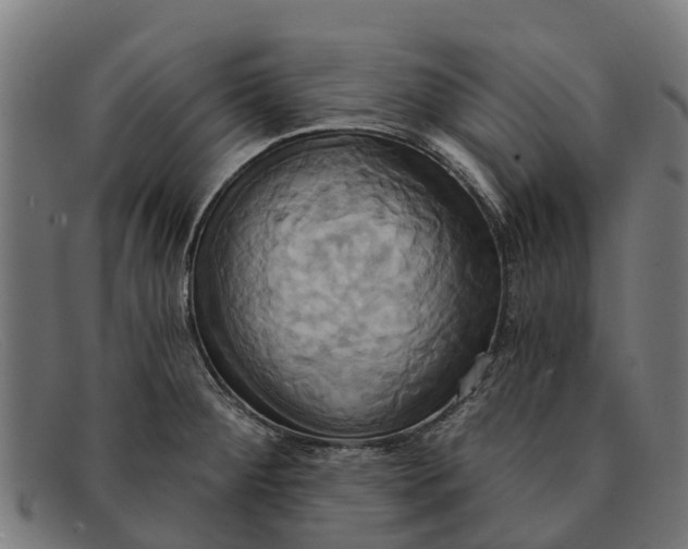 X0000091641284200709131424