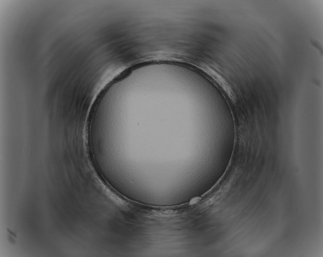 X0000091641285200709131424