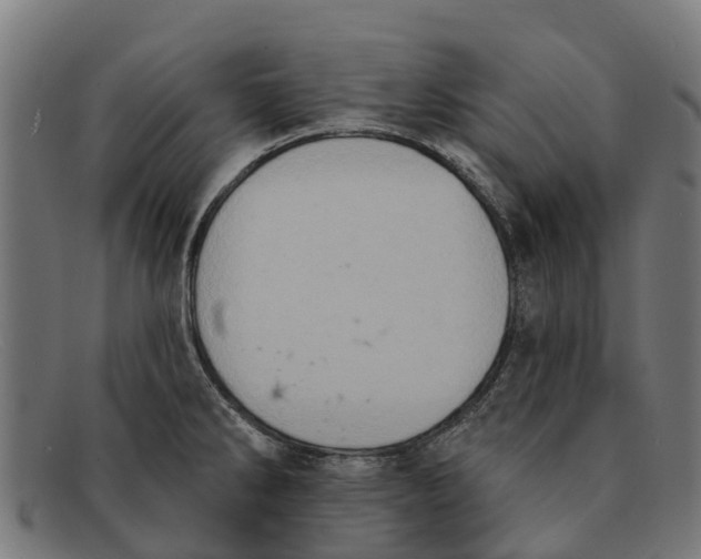 X0000091641286200709131424