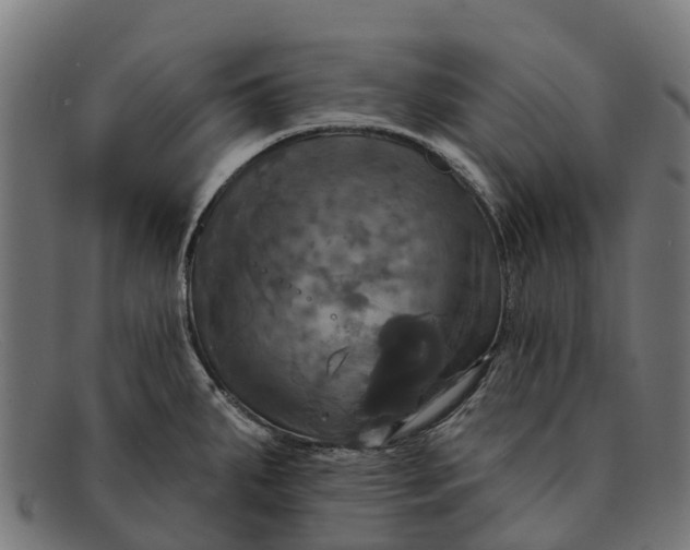 X0000091641287200709131424