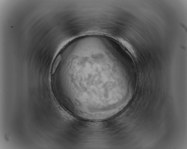 X0000091641288200709131424