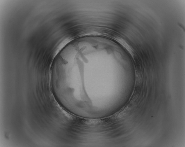 X0000091641290200709131424