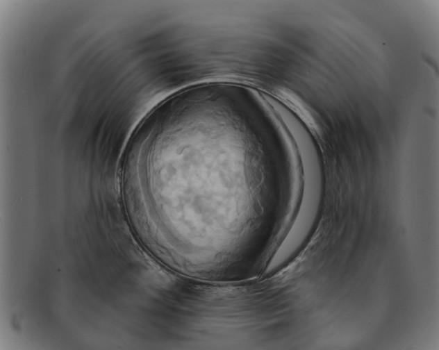 X0000091641292200709131424