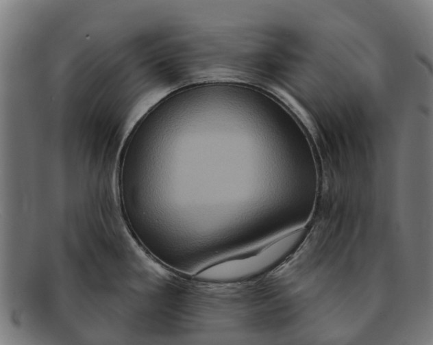 X0000091641293200709131424